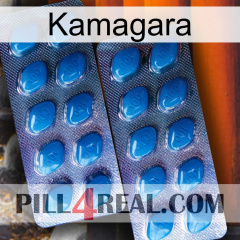 Kamagara viagra2